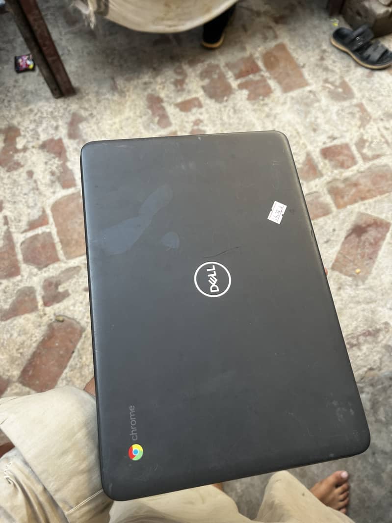 03367173461 0