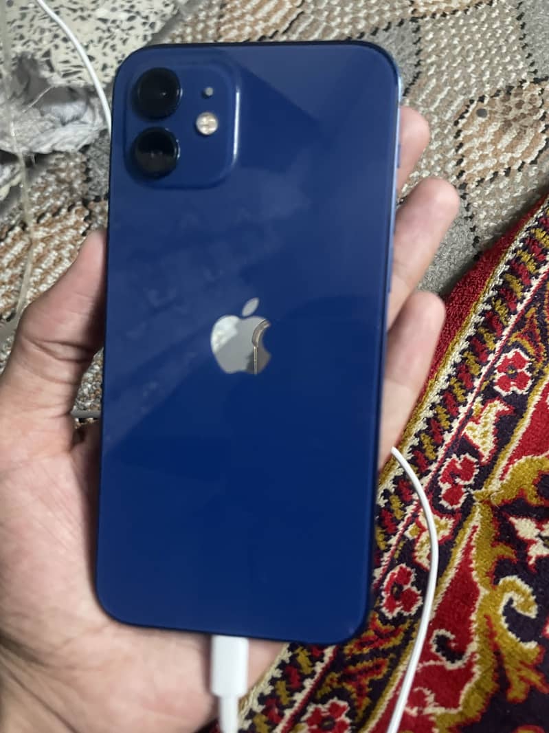 Apple iPhone 12 1