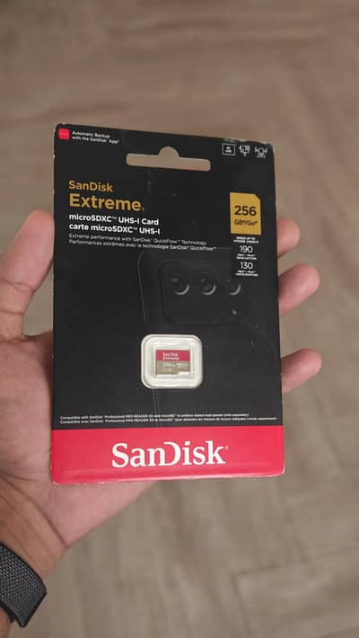 SanDisk 256gb