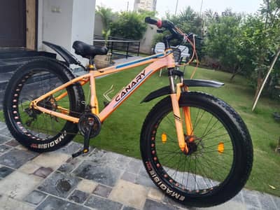 fat tayre cycle 26 inch