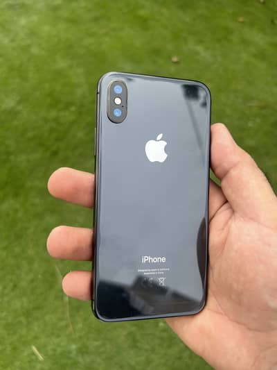 Apple iPhone X