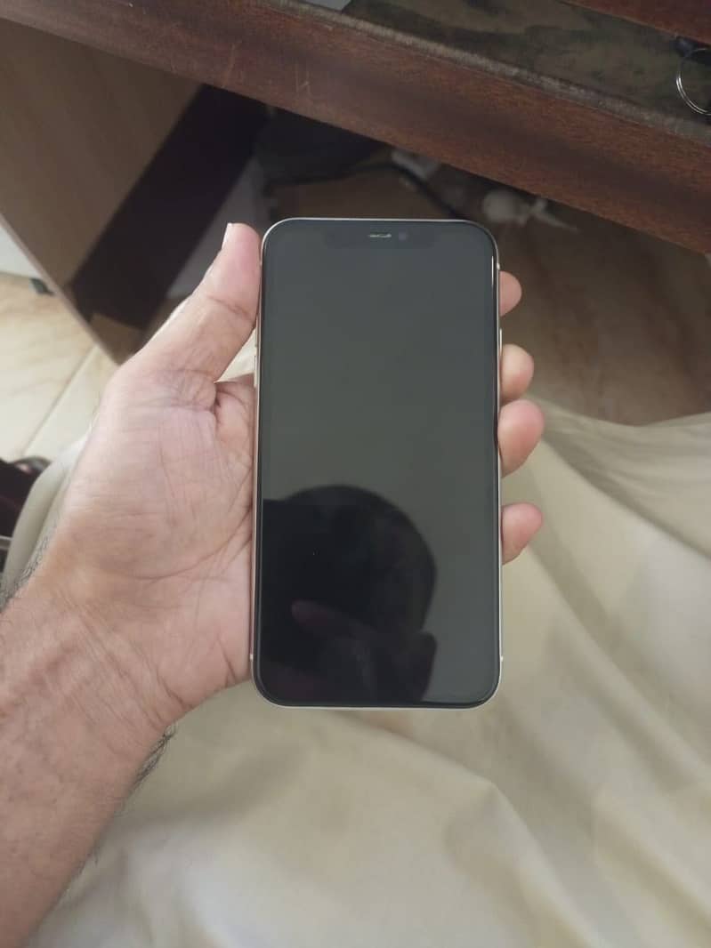 iphone 11 0