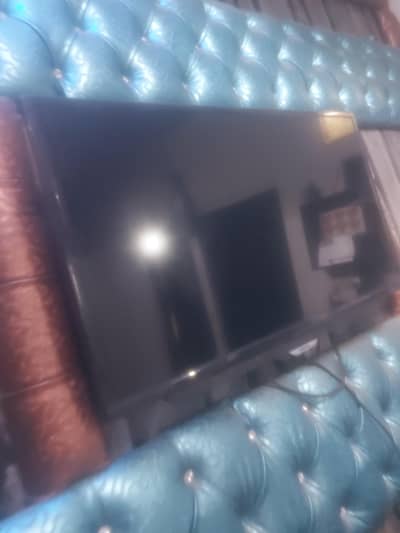 0321 5636364 0333 5636364