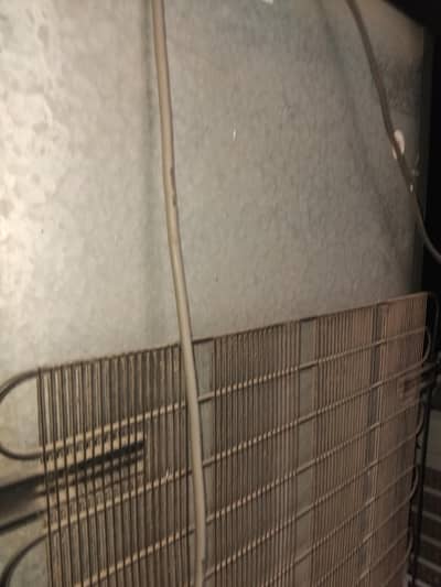 Dalliance Refrigerator