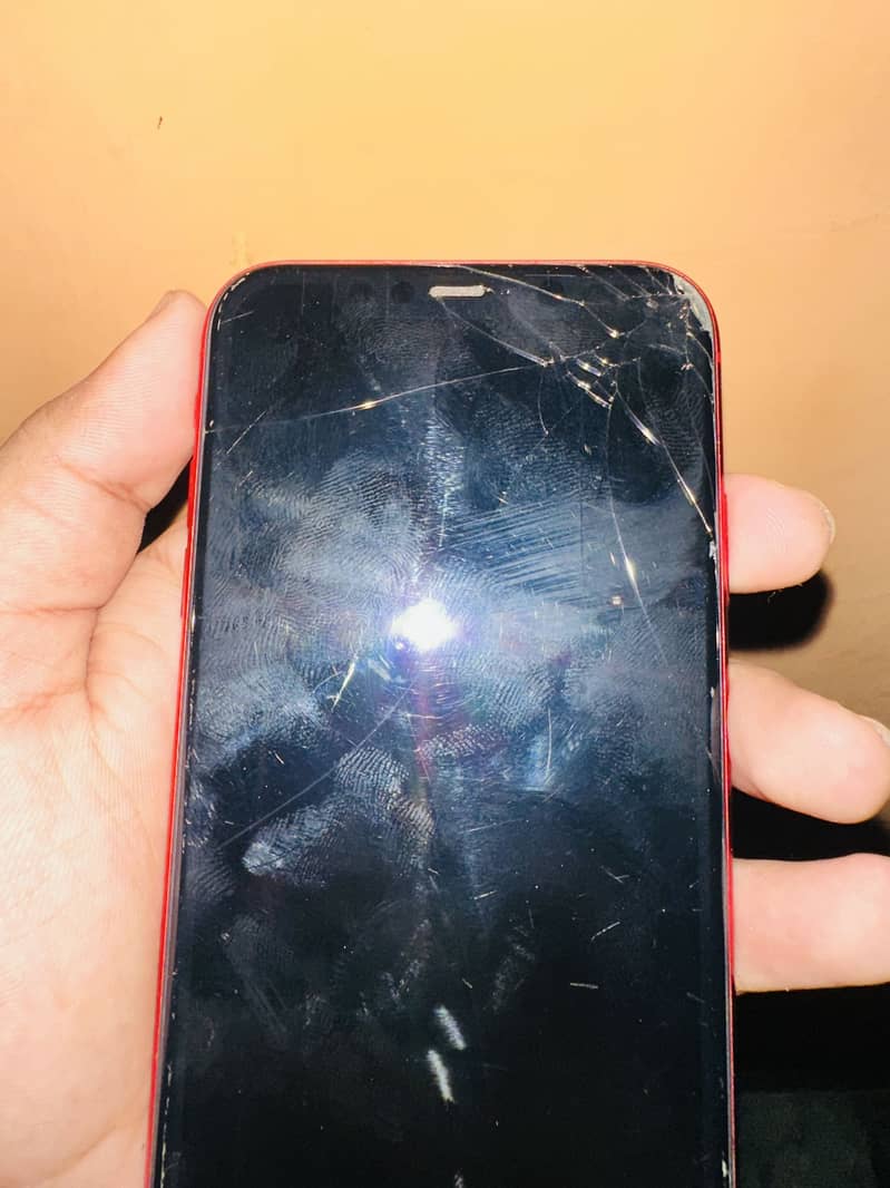 Apple iPhone 11 1