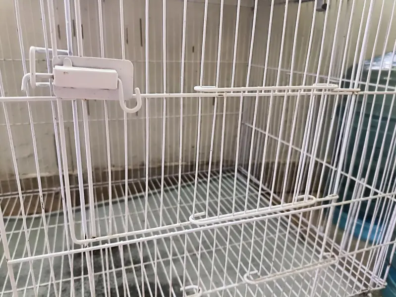 42 inches x 20 inches cage for sale — photo 4