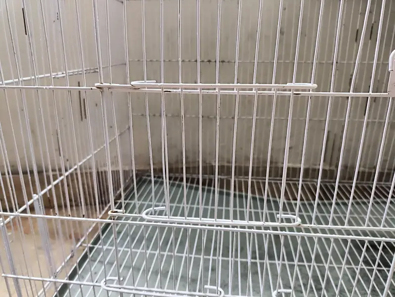 42 inches x 20 inches cage for sale — photo 5