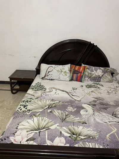 only bed