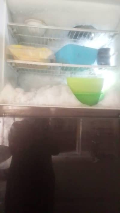 Kenwood   fridge  ha.   full. size.