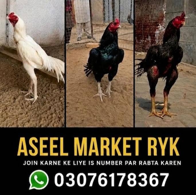 03076178367 0