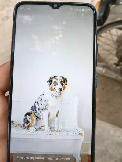 Realme C21Y