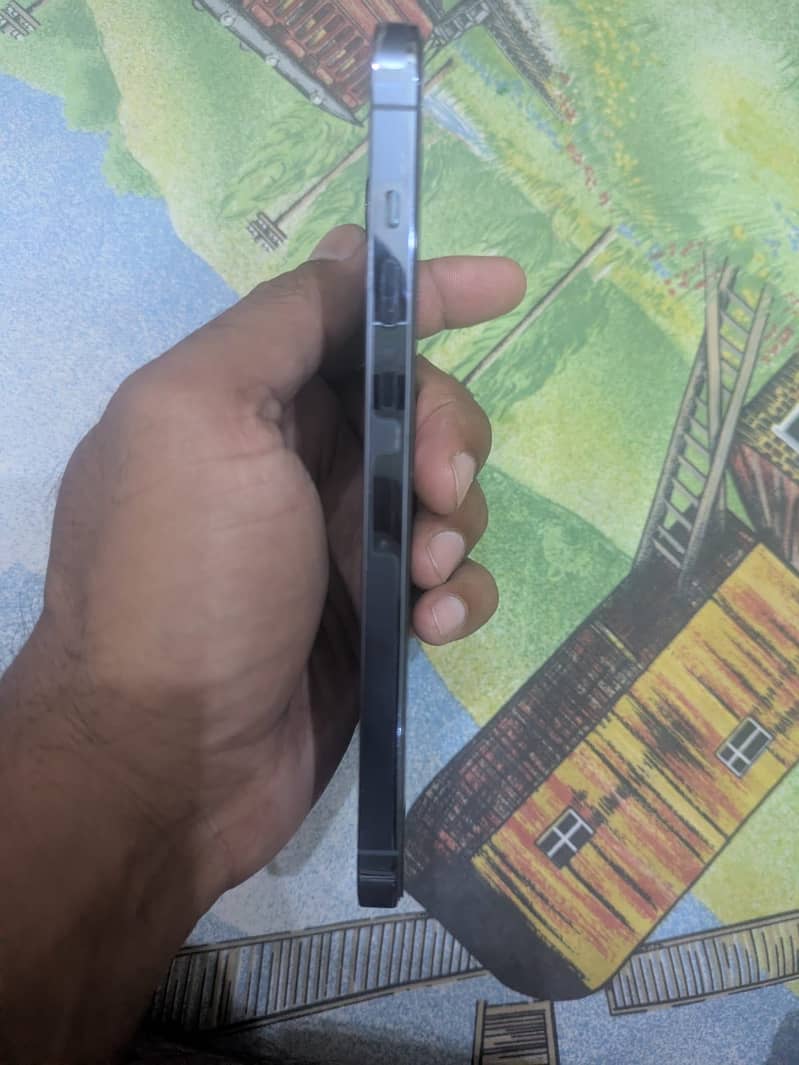 Apple iPhone 13 Pro Max 1