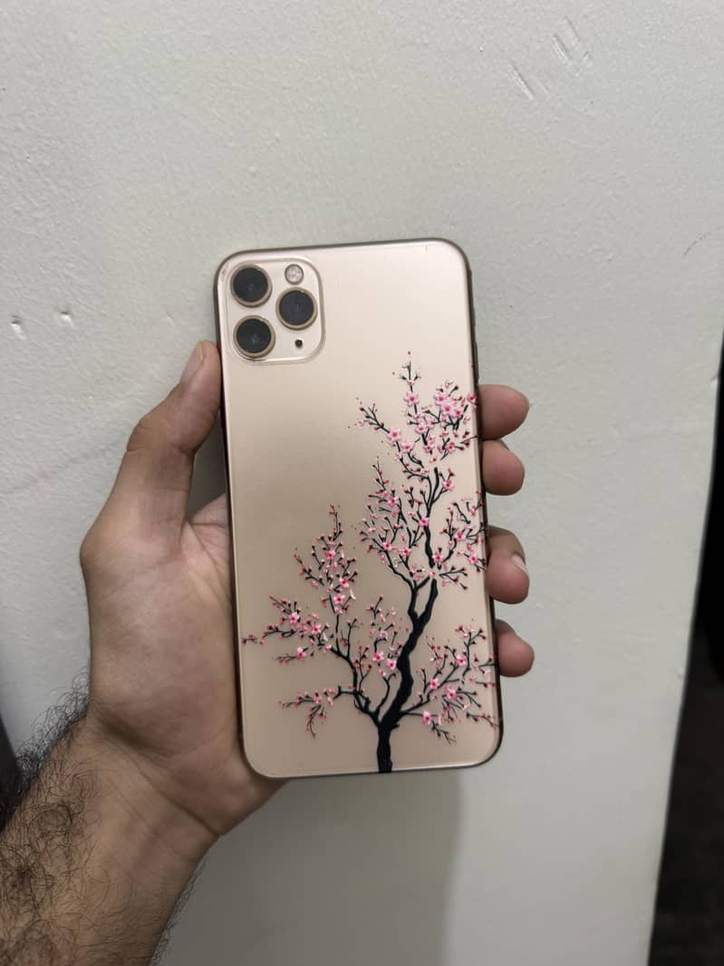 Apple iPhone 11 Pro Max 0