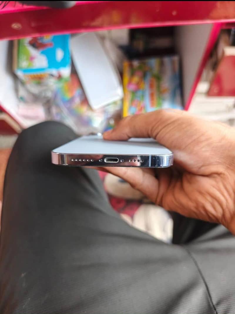 Apple iPhone 13 Pro Max 1