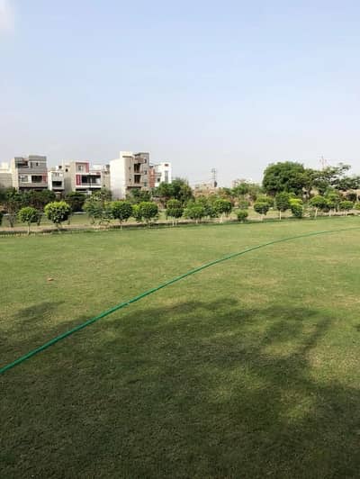 Plot For Sale In Punjabi Saudagaran Phase1 Sector 25A, Scheme 33