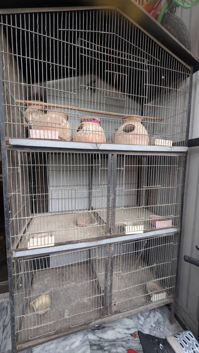 Large 5ft Bird Cage for Sale – Spacious 10/10 Condition