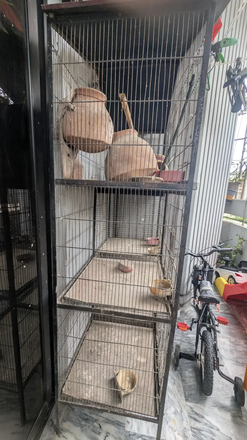 Large 5ft Bird Cage for Sale – Spacious 10/10 Condition — photo 2
