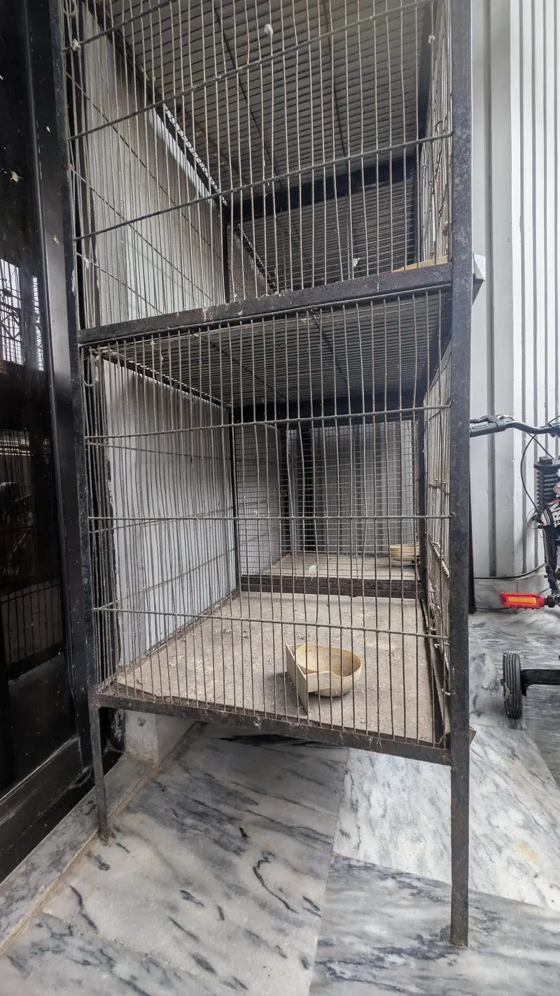 Large 5ft Bird Cage for Sale – Spacious 10/10 Condition — photo 3