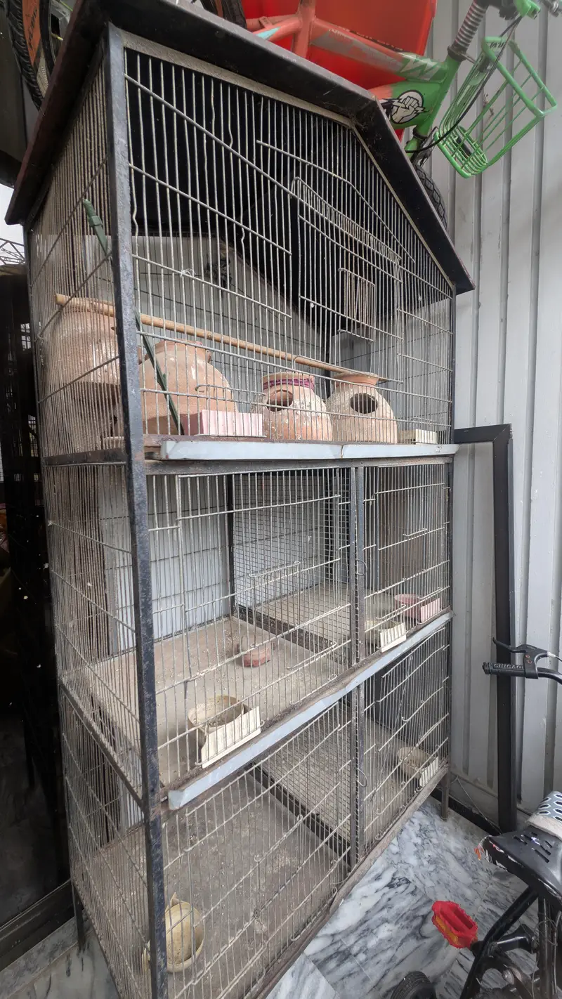 Large 5ft Bird Cage for Sale – Spacious 10/10 Condition — photo 4