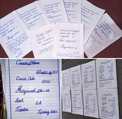 Hand Writing Assignment Work Available