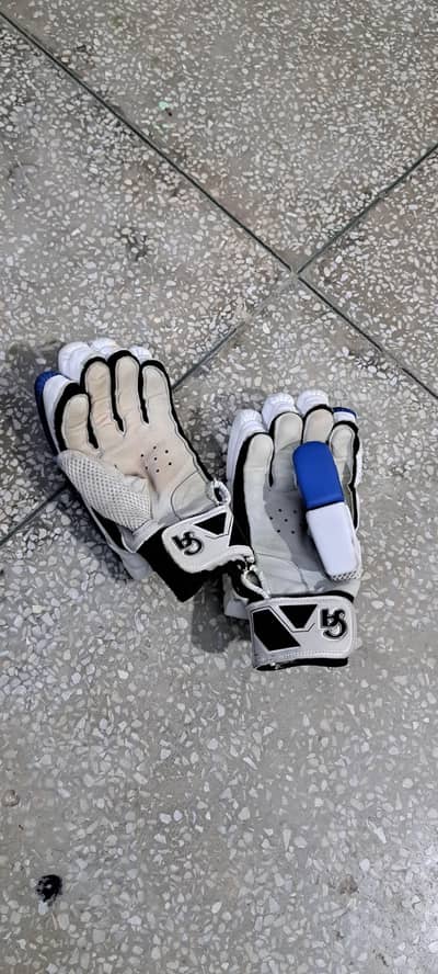 Cricket Kit /Premium Cricket Kit – Complete Cricket Gear Set /