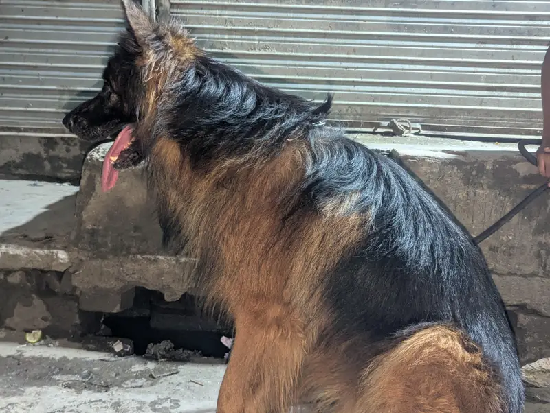 read the description AUR phir rabta kera shukriya — photo 3