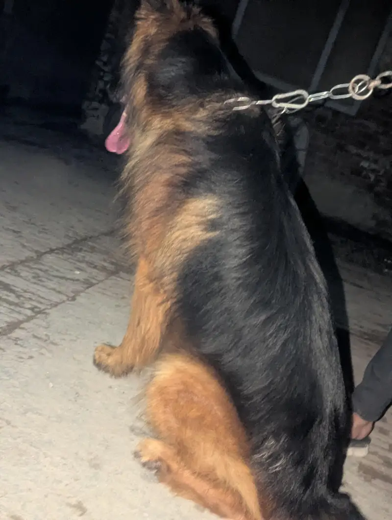 read the description AUR phir rabta kera shukriya — photo 6