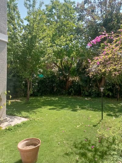 6 Bedroom House For Rent In F-7 Lush Green Lawn &Amp; Scenic Views