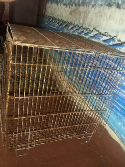 second hand birds cage