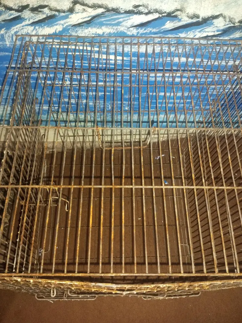 second hand birds cage — photo 2