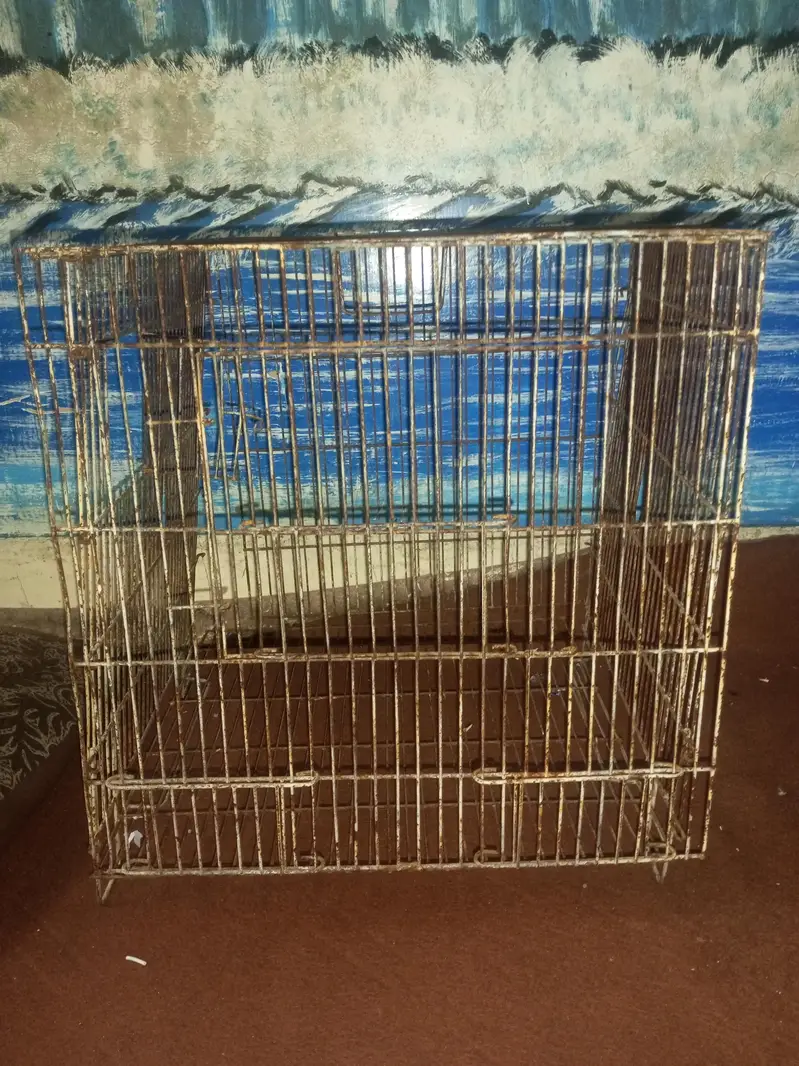 second hand birds cage — photo 3