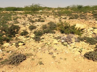 Residential Plot For sale In Karachi