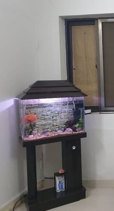 Aquarium with 3 Gold Fish