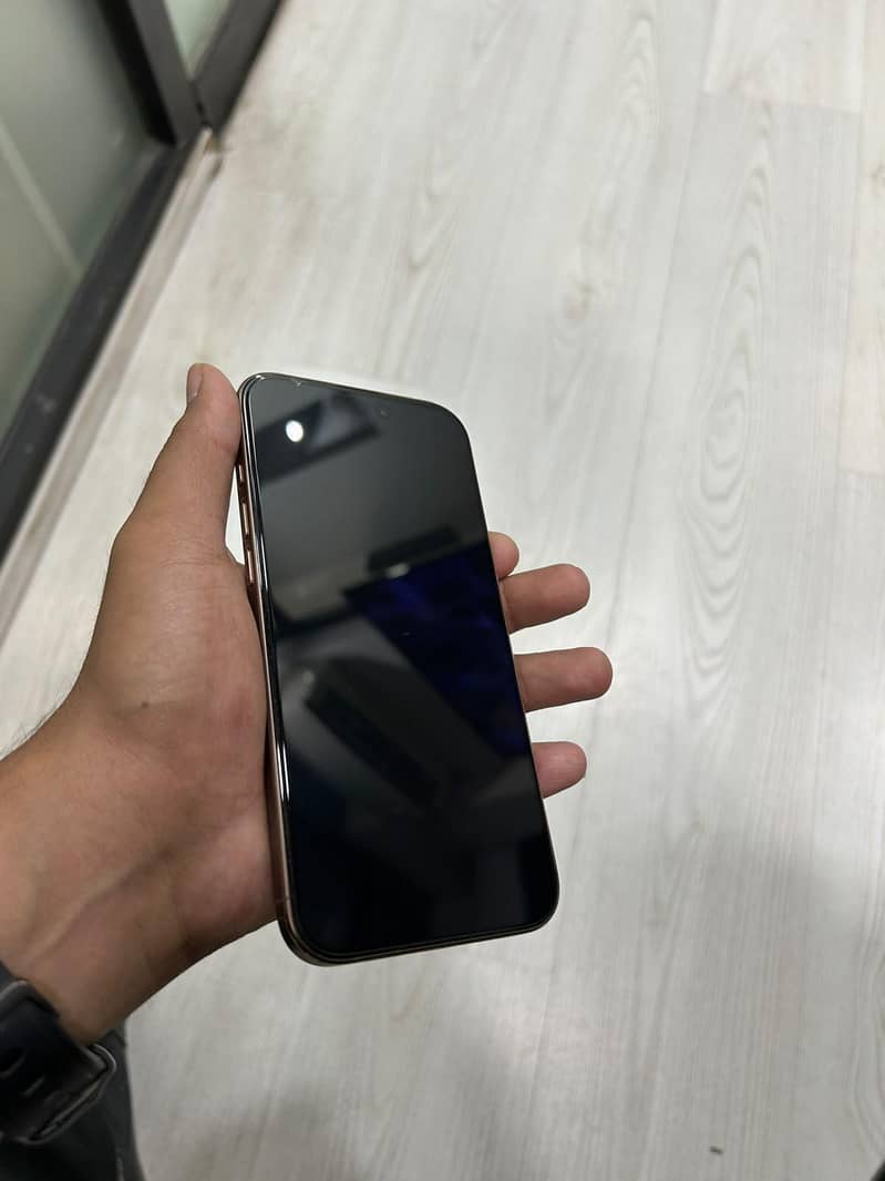 Apple iPhone 16 Pro Max 1