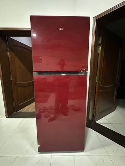 Fridge large size