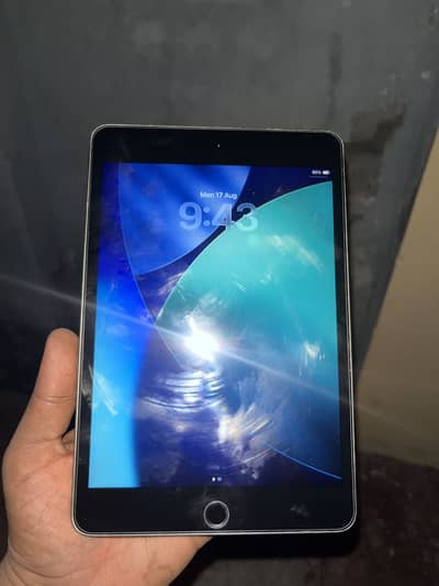 I pad mini