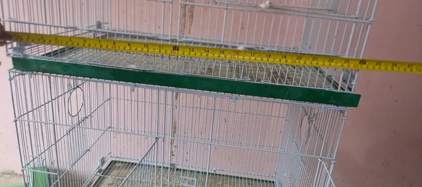Master Cage — photo 2