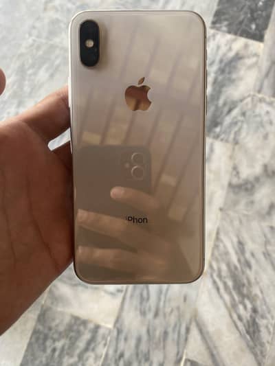 Apple iPhone X
