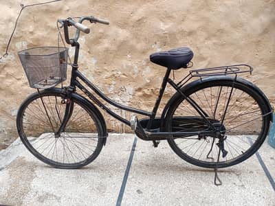 full size cycle