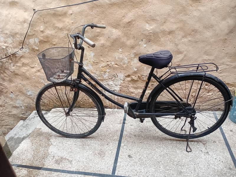 full size cycle 1