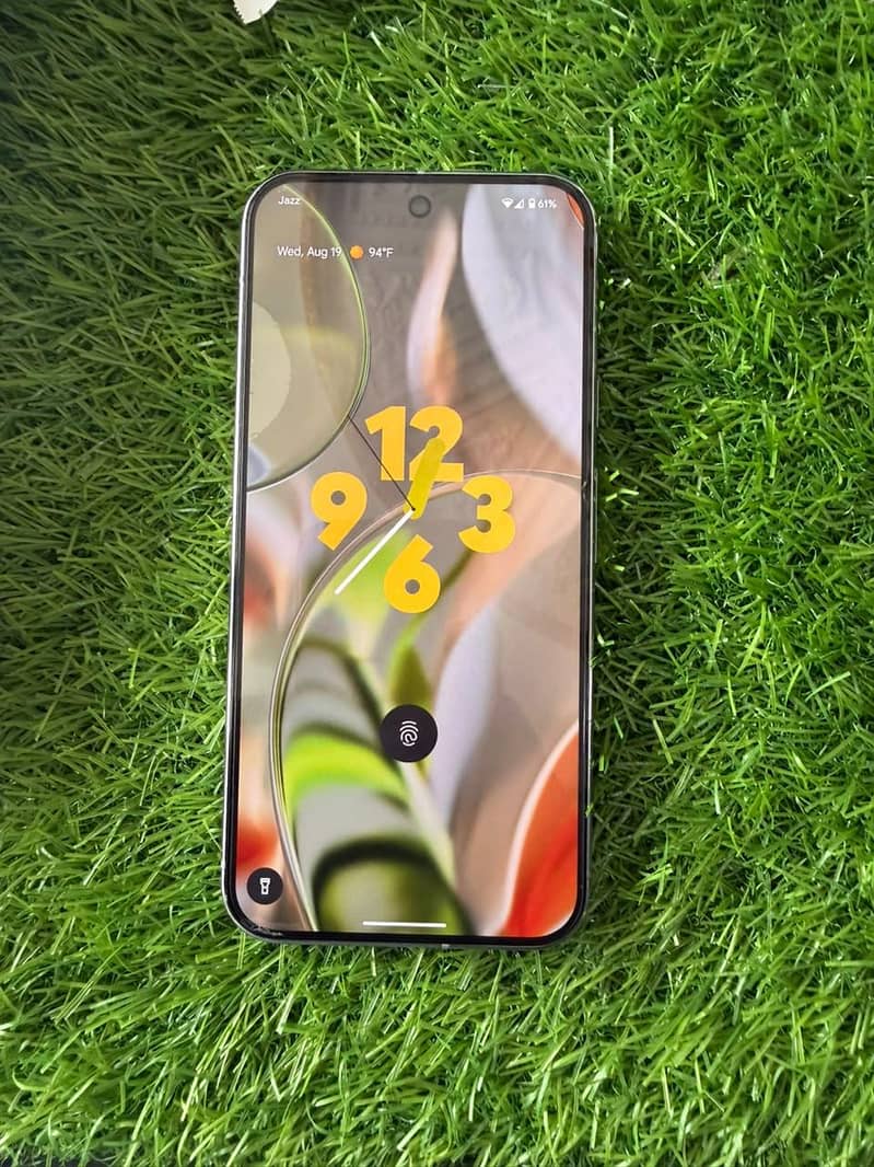 Google Pixel 9 Pro XL 1