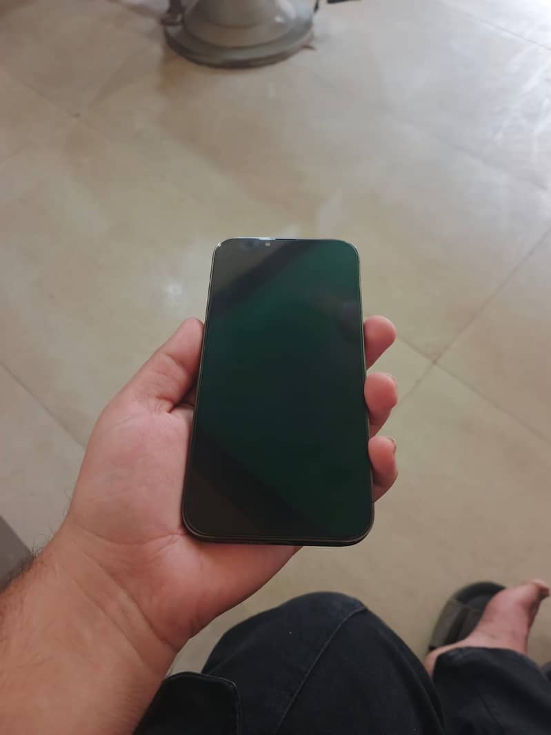 Apple iPhone 13 Pro Max 1