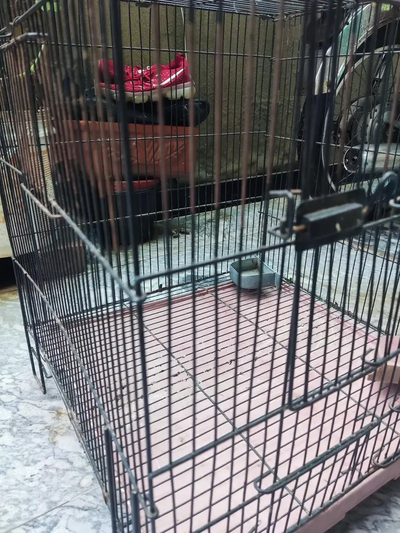 best strong ali cage for sale best for all small and big birds — photo 2