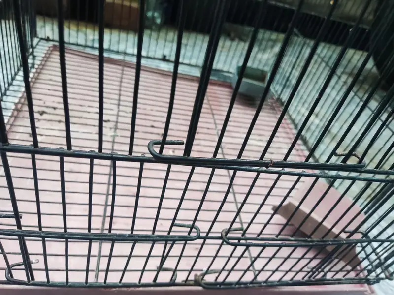 best strong ali cage for sale best for all small and big birds — photo 3