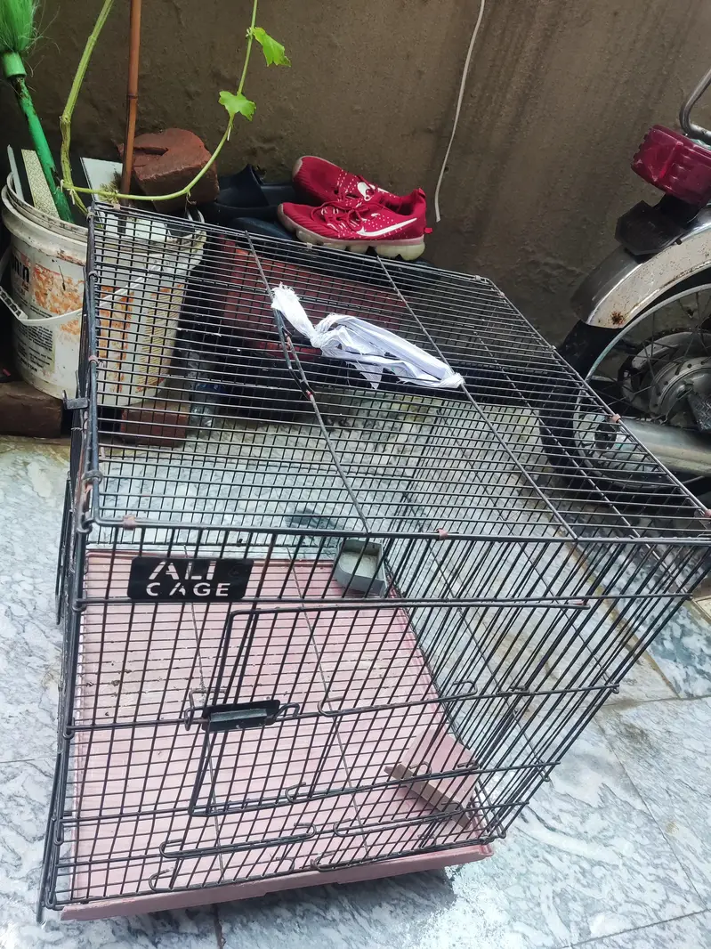 best strong ali cage for sale best for all small and big birds — photo 4