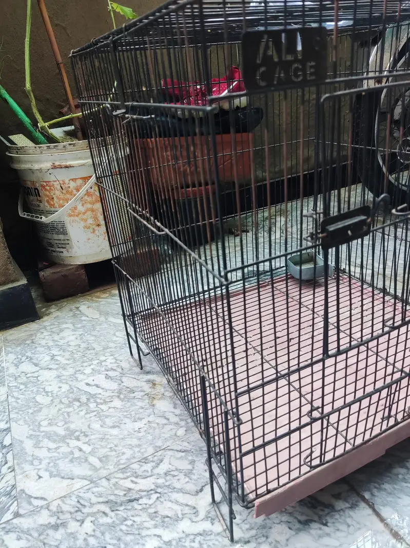 best strong ali cage for sale best for all small and big birds — photo 5
