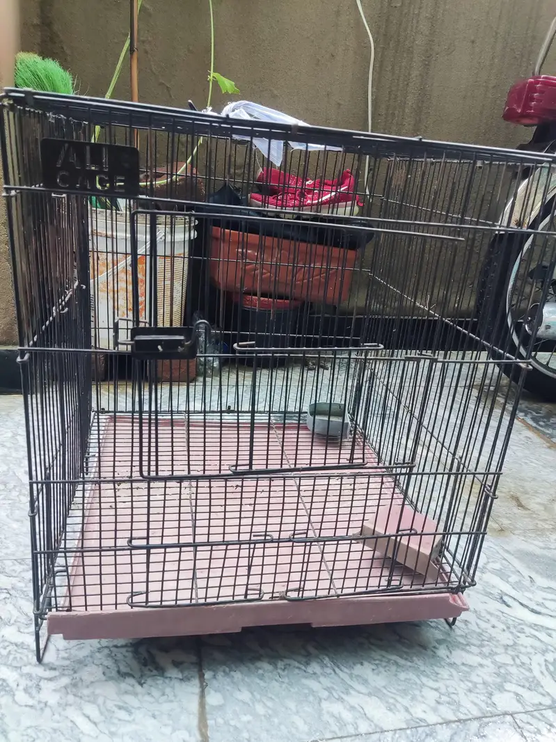 best strong ali cage for sale best for all small and big birds — photo 6