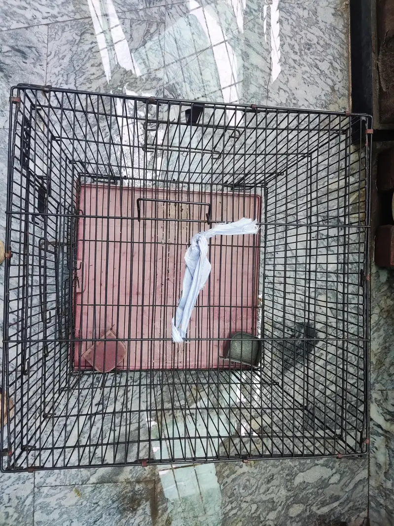 best strong ali cage for sale best for all small and big birds — photo 7