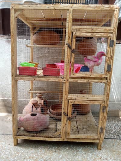 Hens and Birds Cage