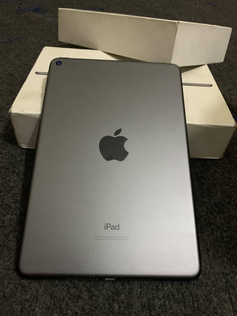 Mini 5 ipad 0